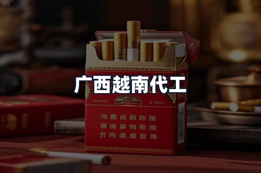 广西越南代工